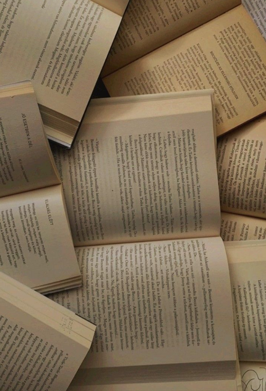 Les coups de coeur ! 